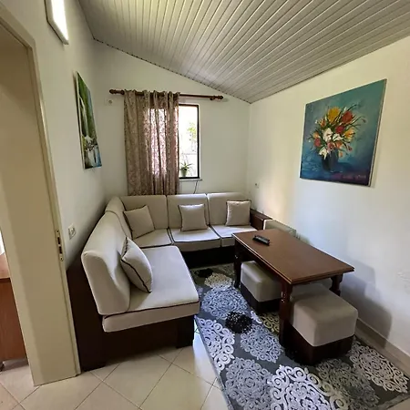 Friendly Dogs House * Τίρανα